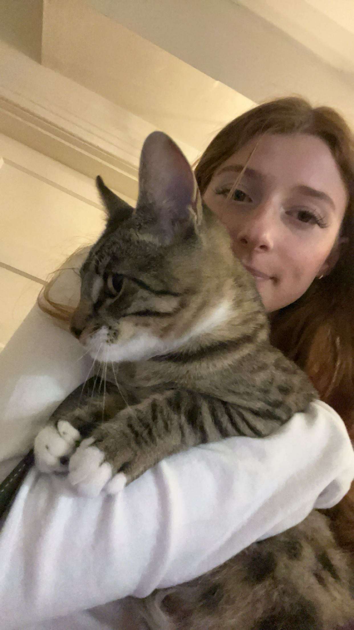 carmmieecat snapchat image archive image