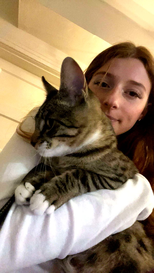 carmmieecat image ~ Altpins