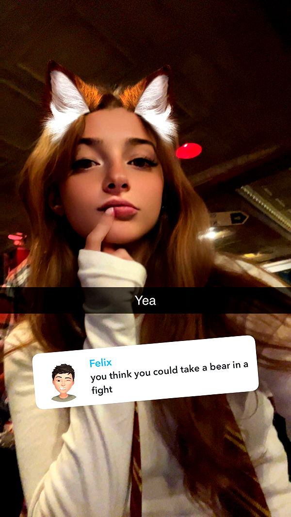 carmmieecat image ~ Altpins