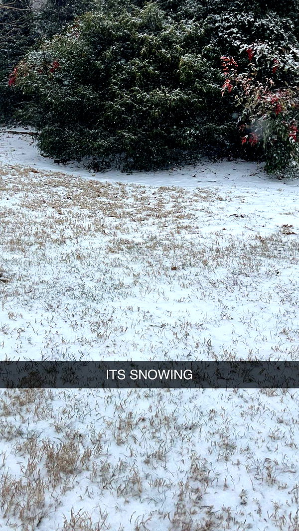 carmmieecat image ~ Altpins