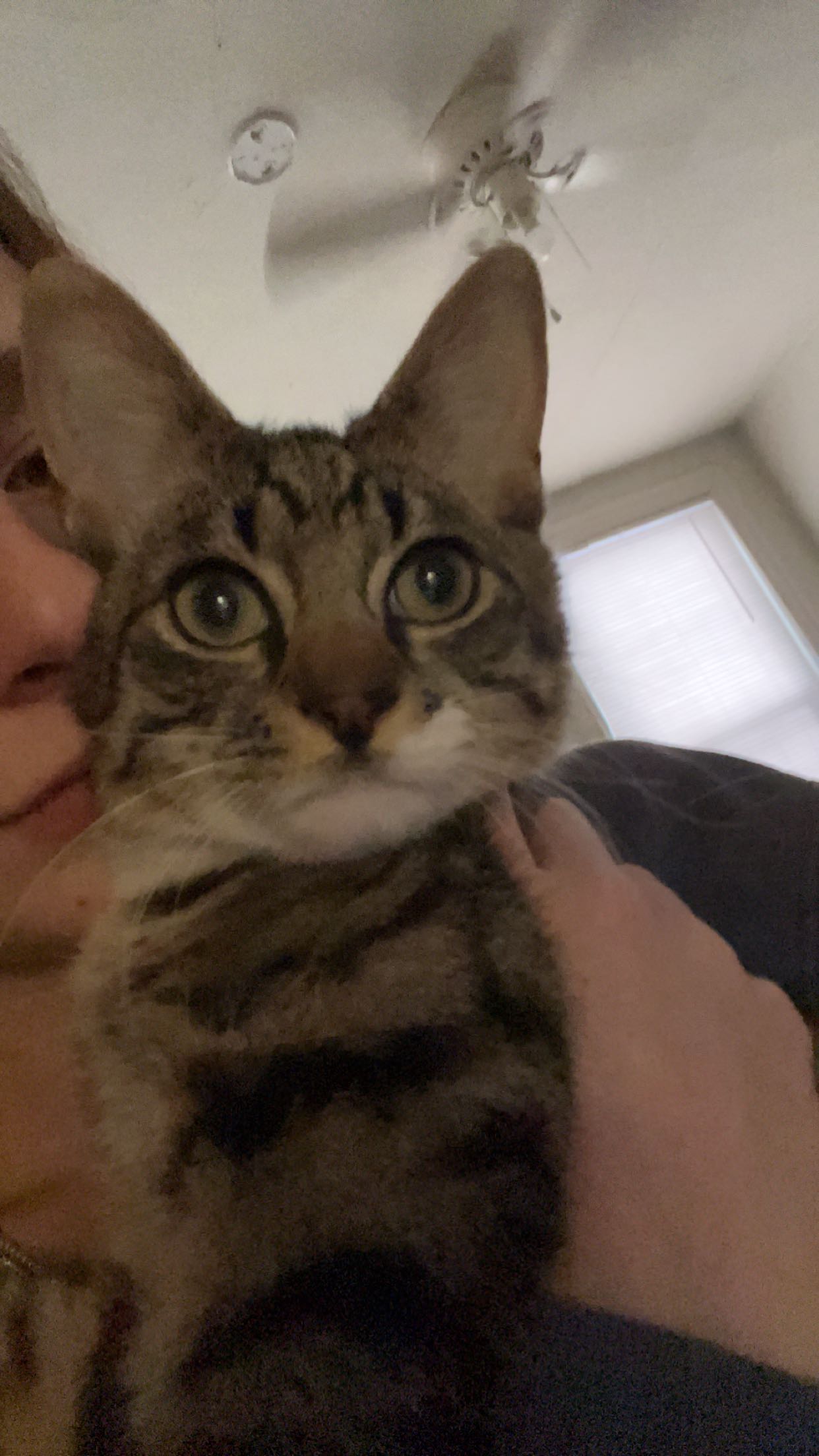 carmmieecat snapchat image archive image