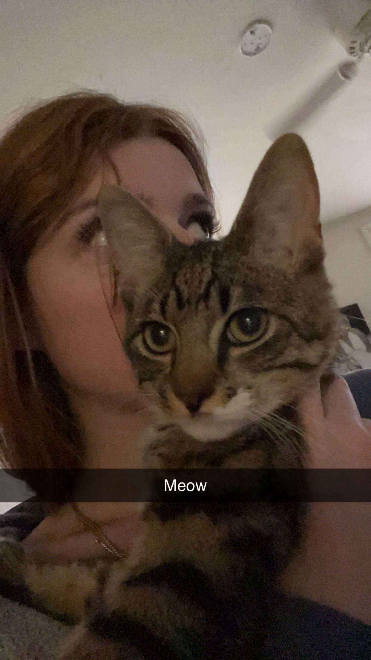 carmmieecat snapchat image archive image