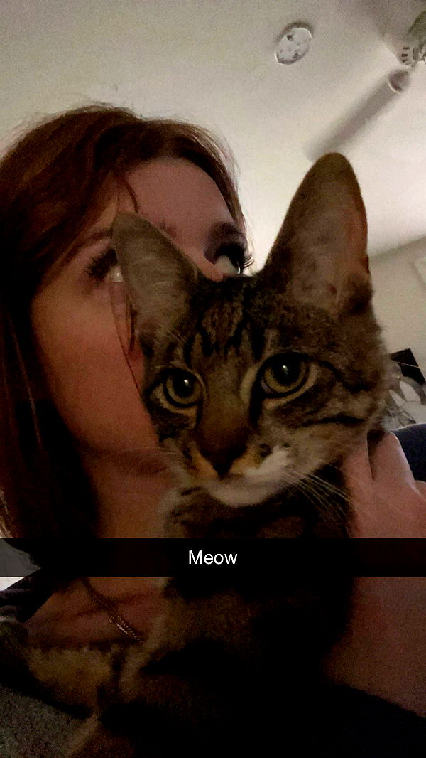 carmmieecat image ~ Altpins