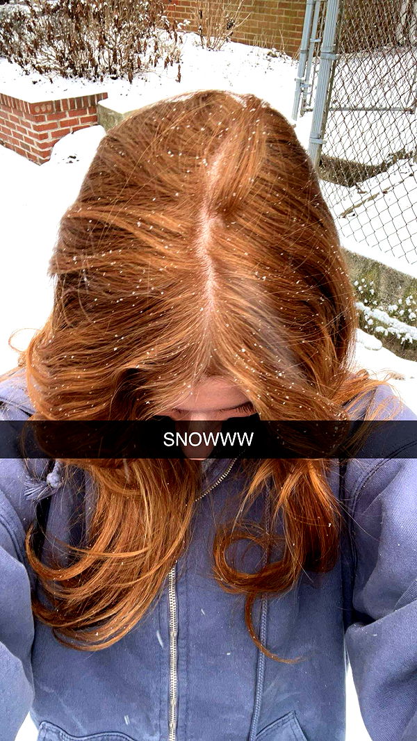 carmmieecat image ~ Altpins