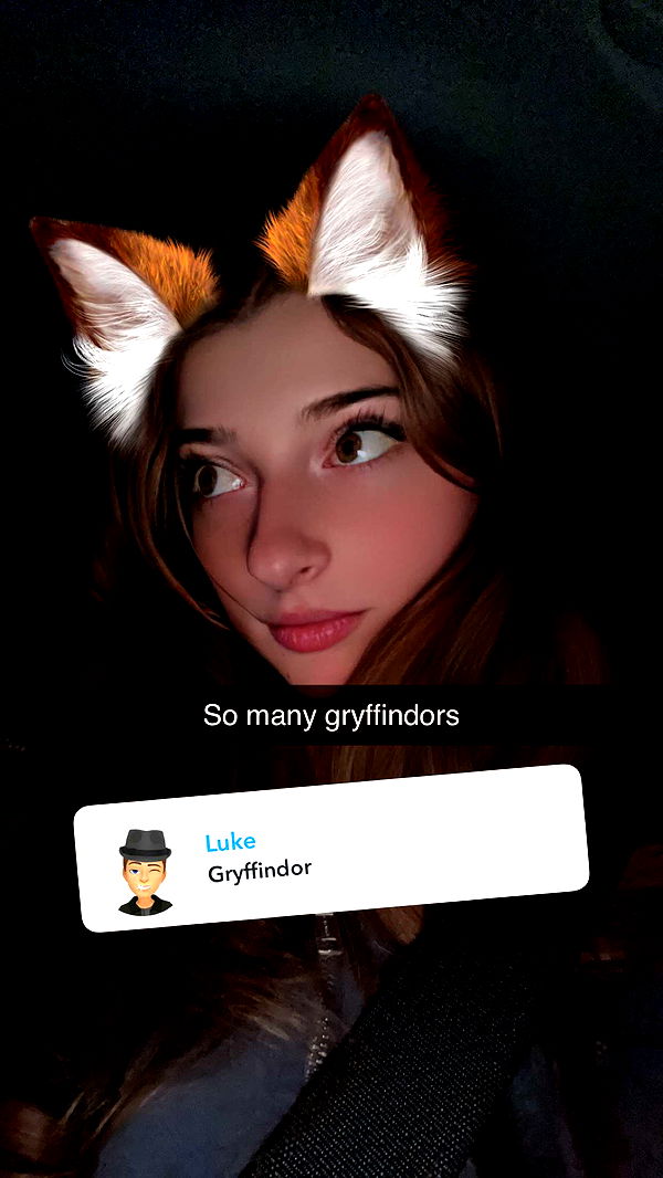 carmmieecat image ~ Altpins