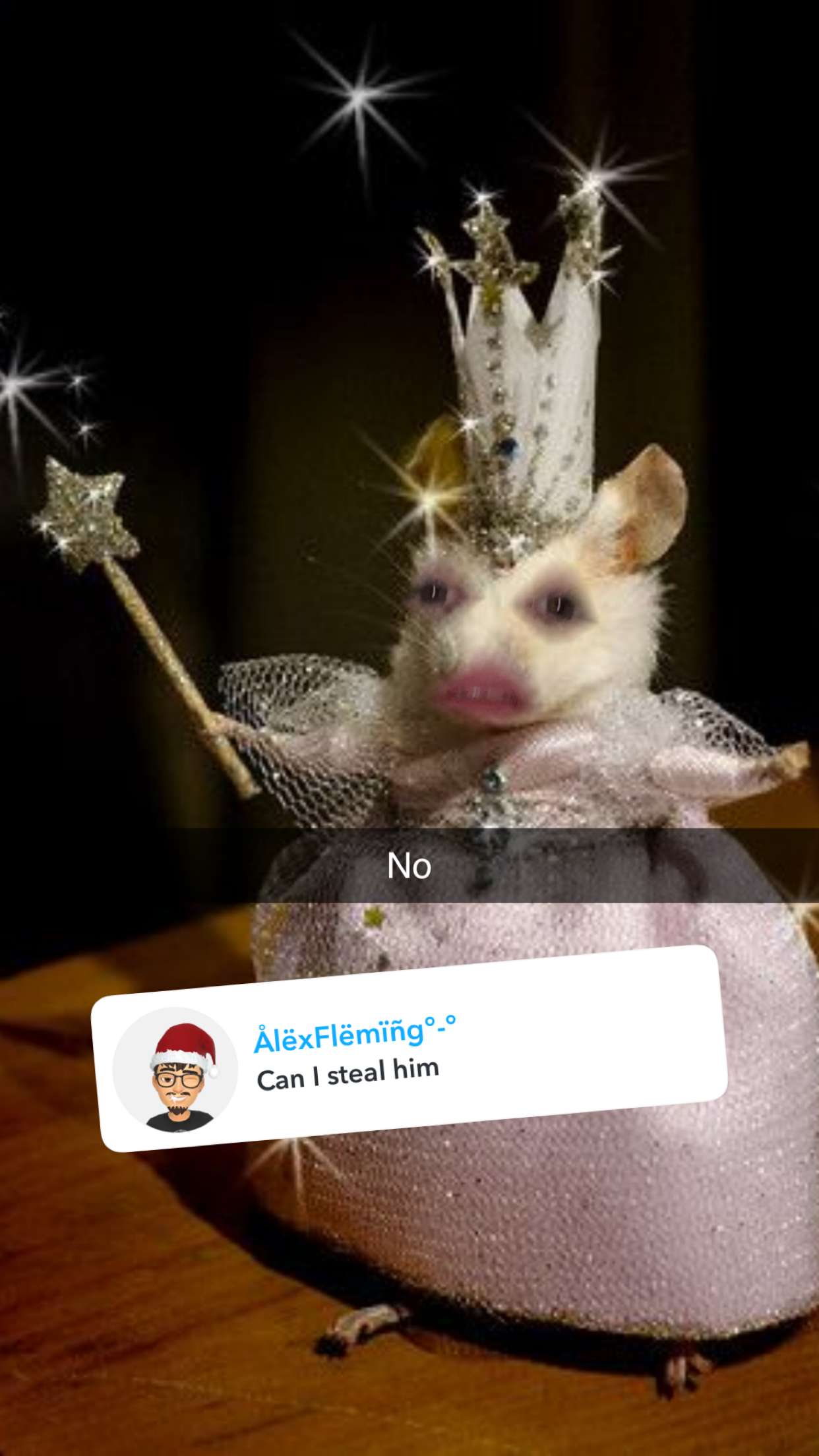 carmmieecat snapchat image archive image