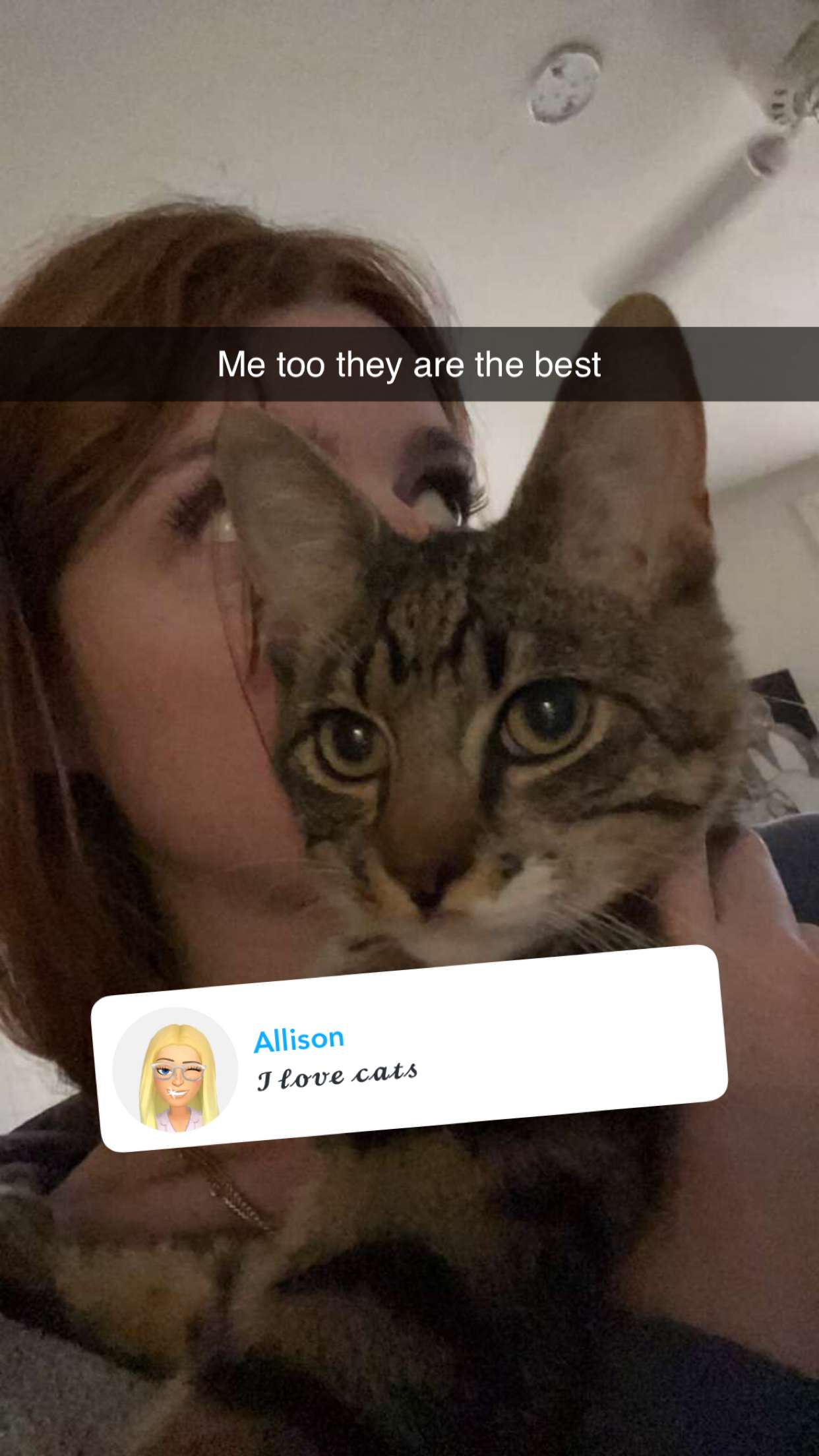 carmmieecat snapchat image archive image