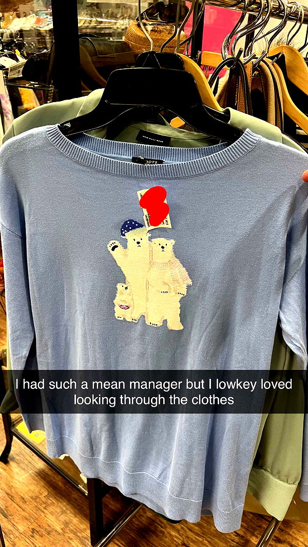 carmmieecat image ~ Altpins