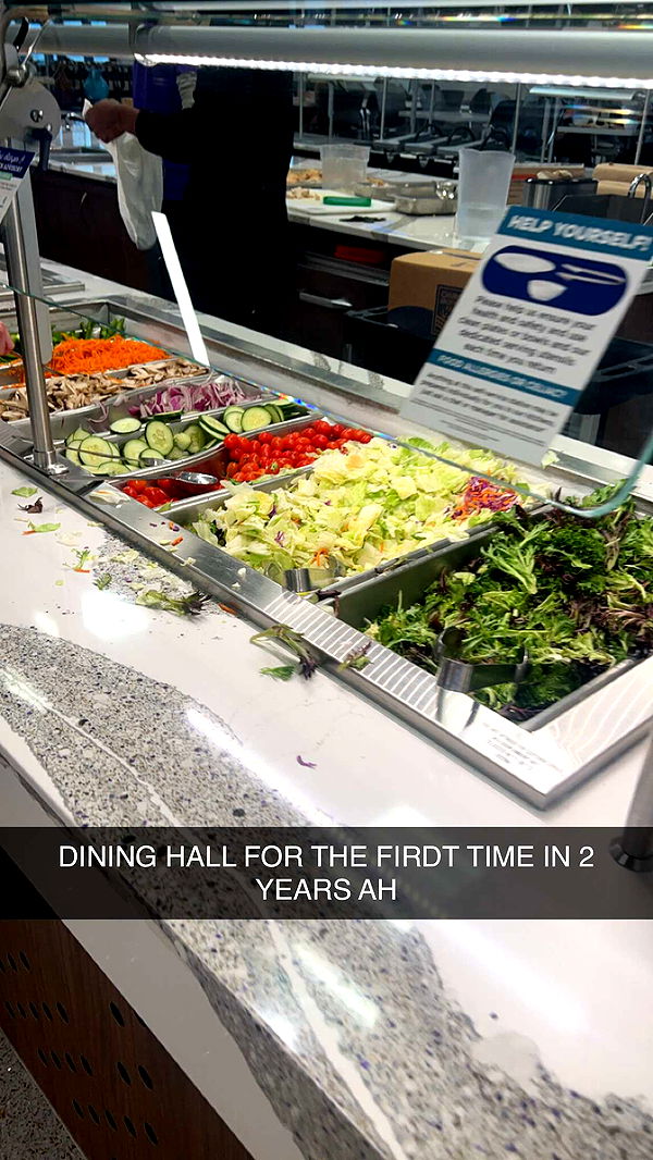 carmmieecat image ~ Altpins