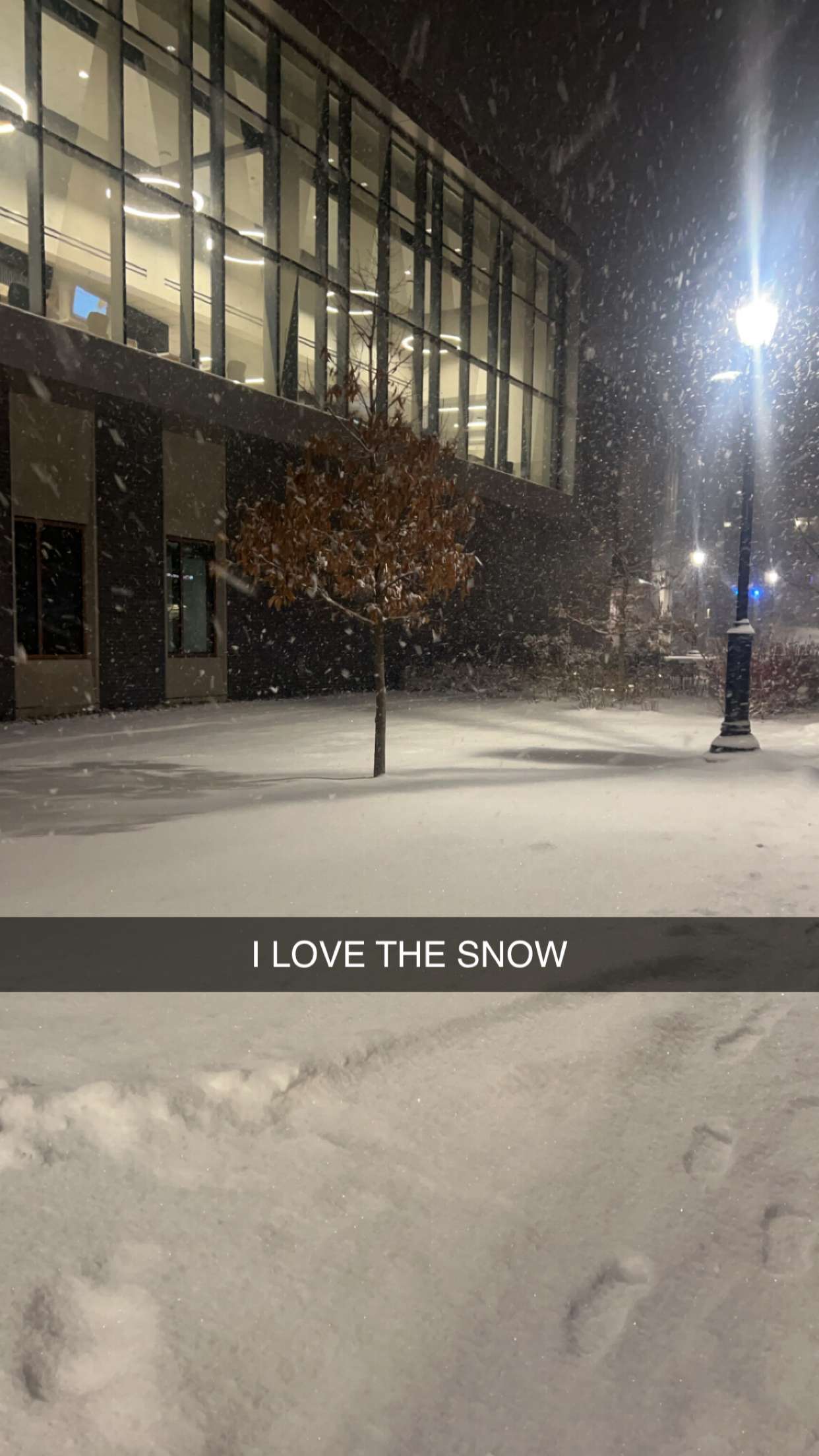 carmmieecat snapchat image archive image