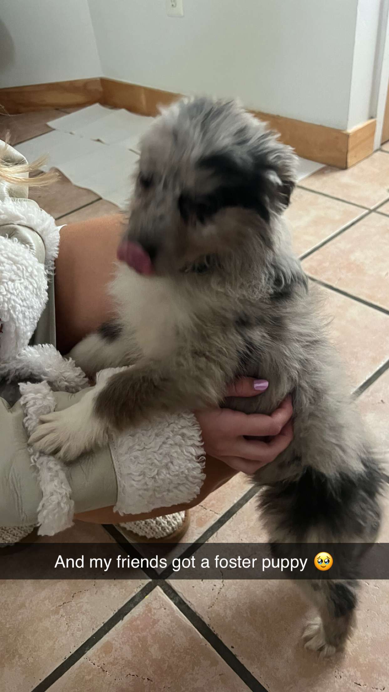 carmmieecat snapchat image archive image