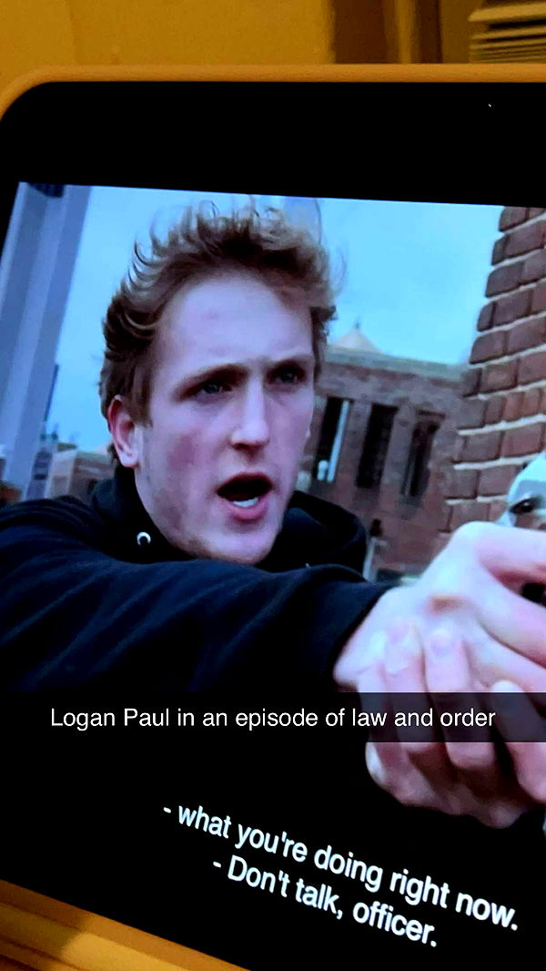 carmmieecat image ~ Altpins