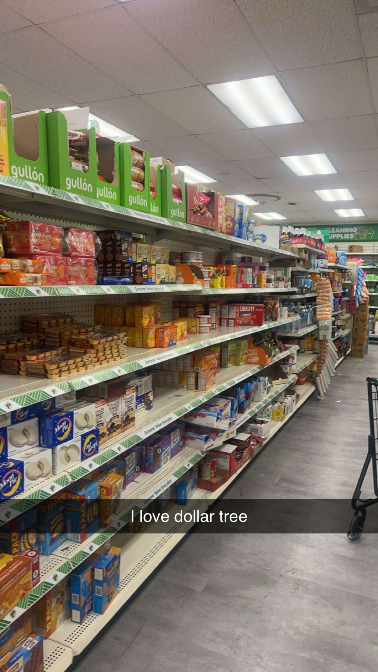 carmmieecat snapchat image archive image