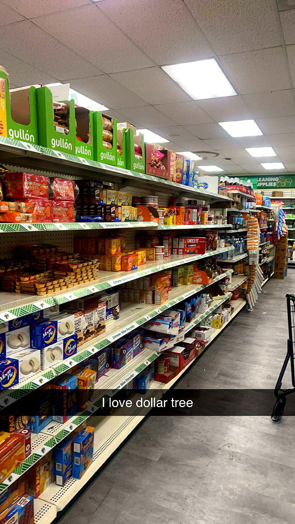 carmmieecat image ~ Altpins