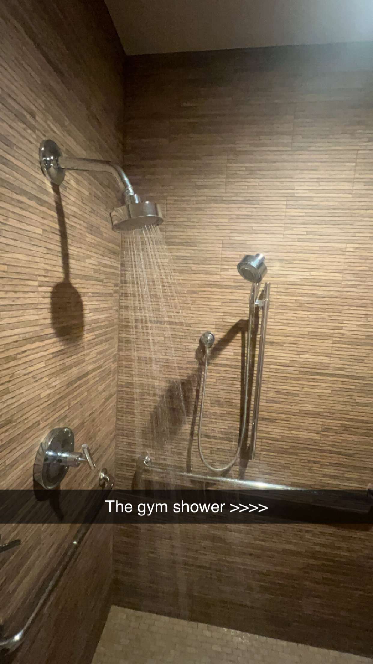 carmmieecat snapchat image archive image