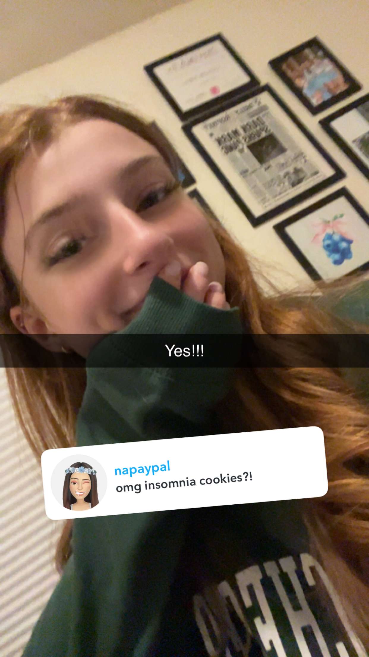 carmmieecat snapchat image archive image