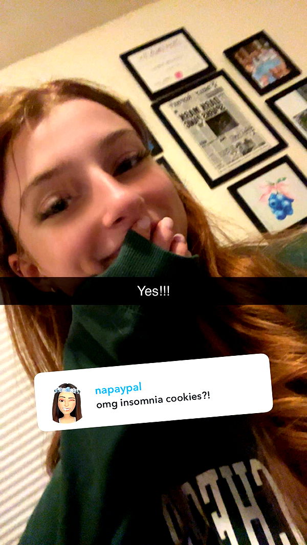 carmmieecat image ~ Altpins