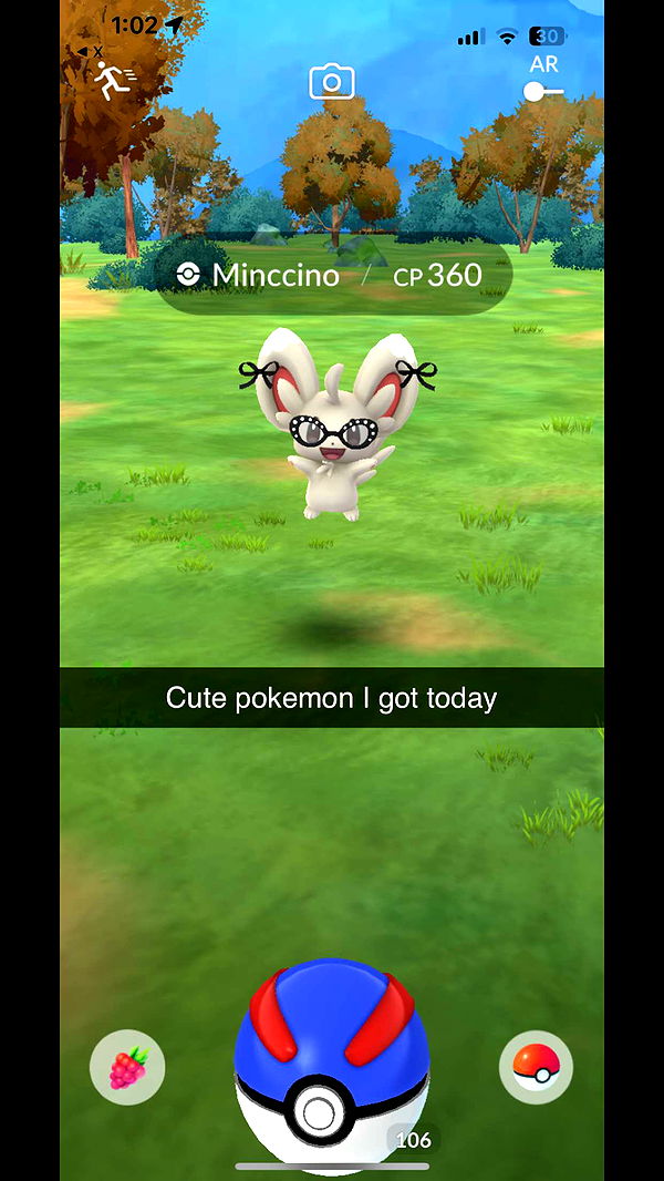 carmmieecat image ~ Altpins