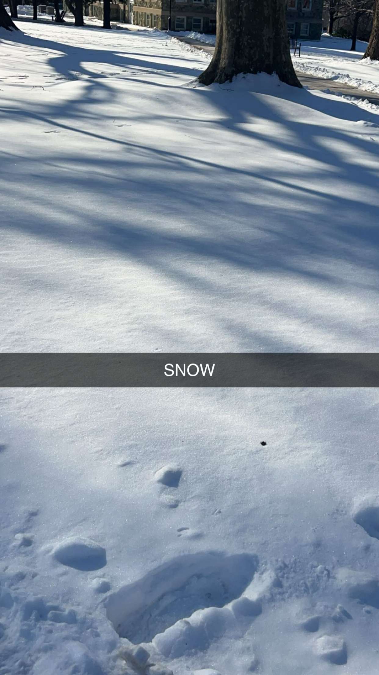 carmmieecat snapchat image archive image