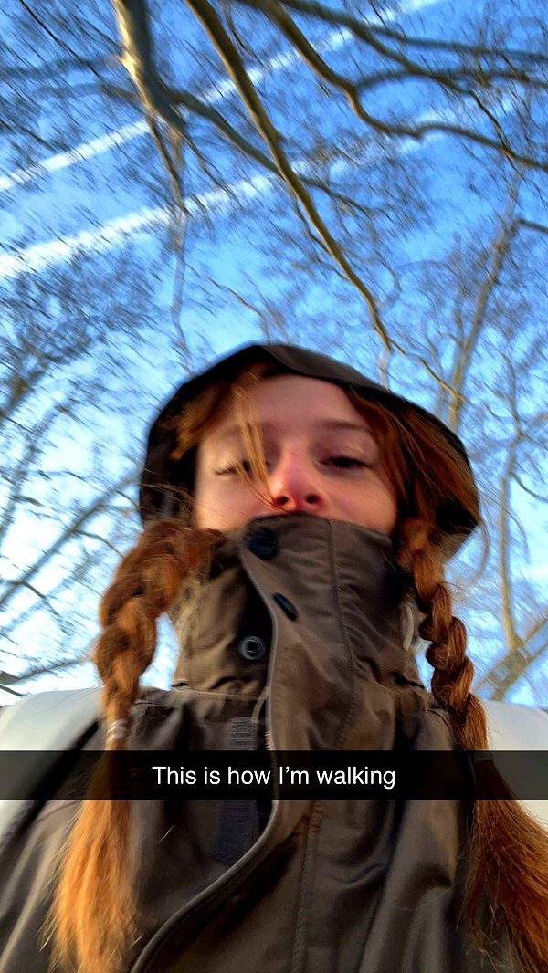 carmmieecat image ~ Altpins