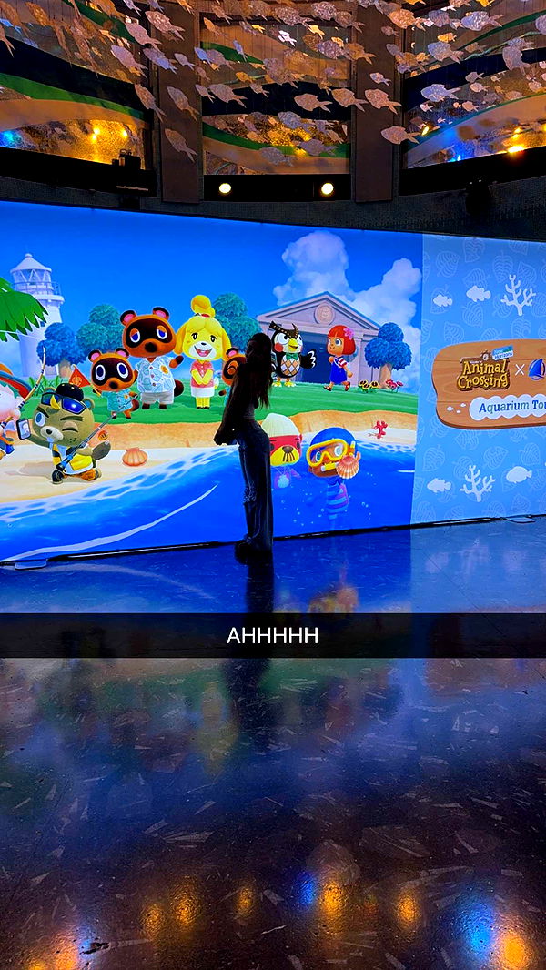 carmmieecat image ~ Altpins