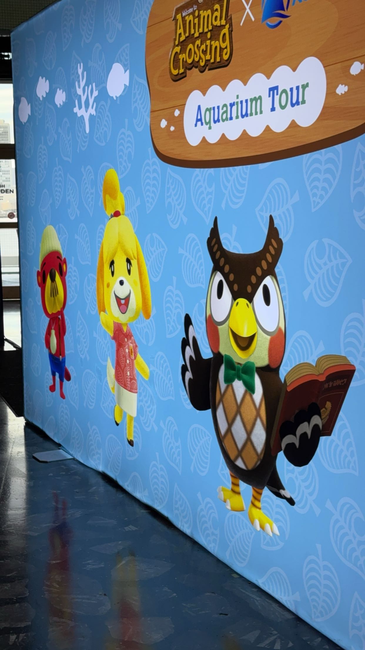 carmmieecat snapchat image archive image