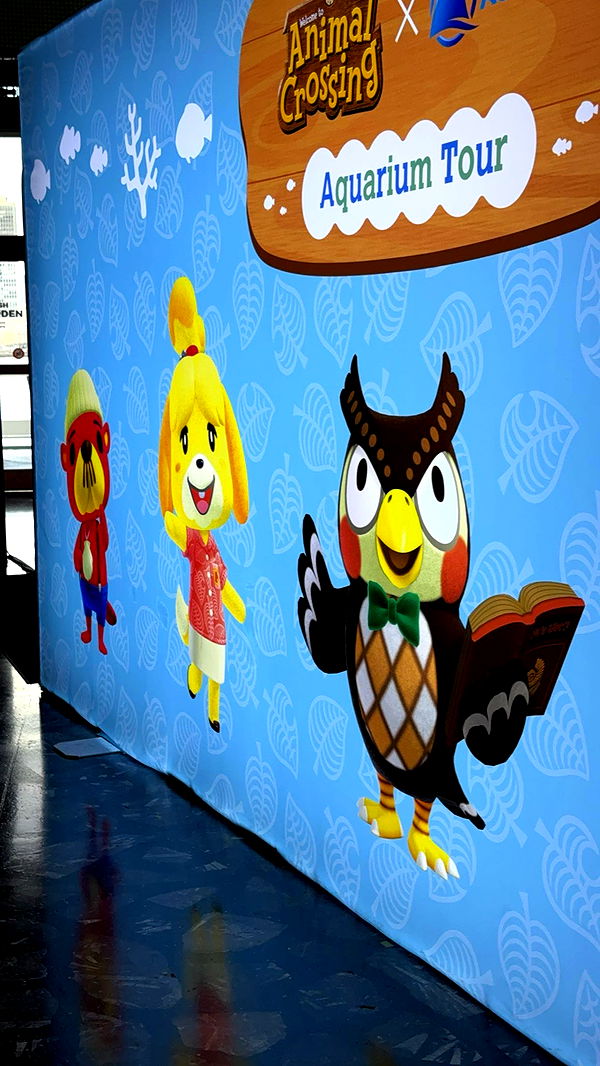 carmmieecat image ~ Altpins