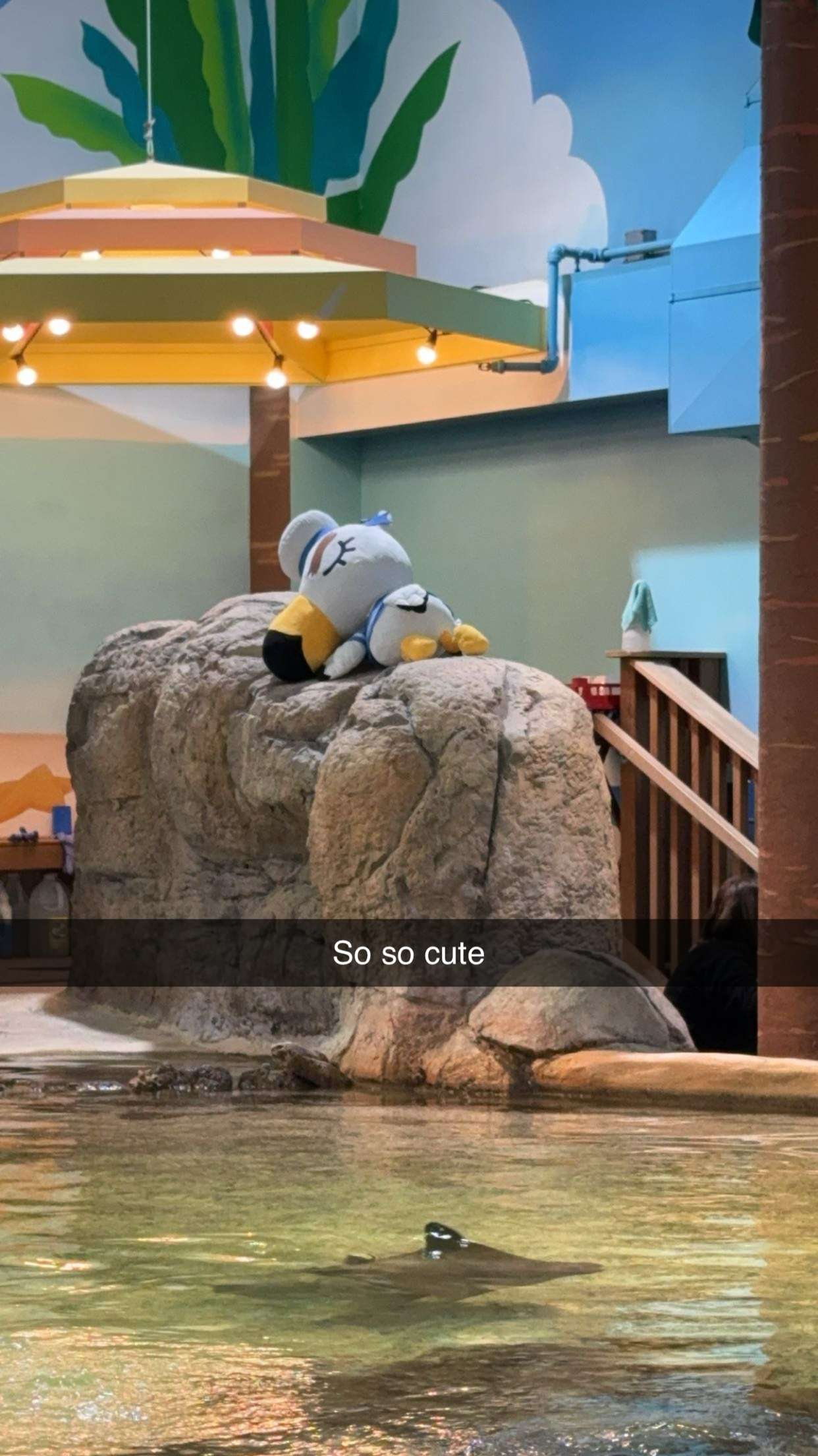 carmmieecat snapchat image archive image