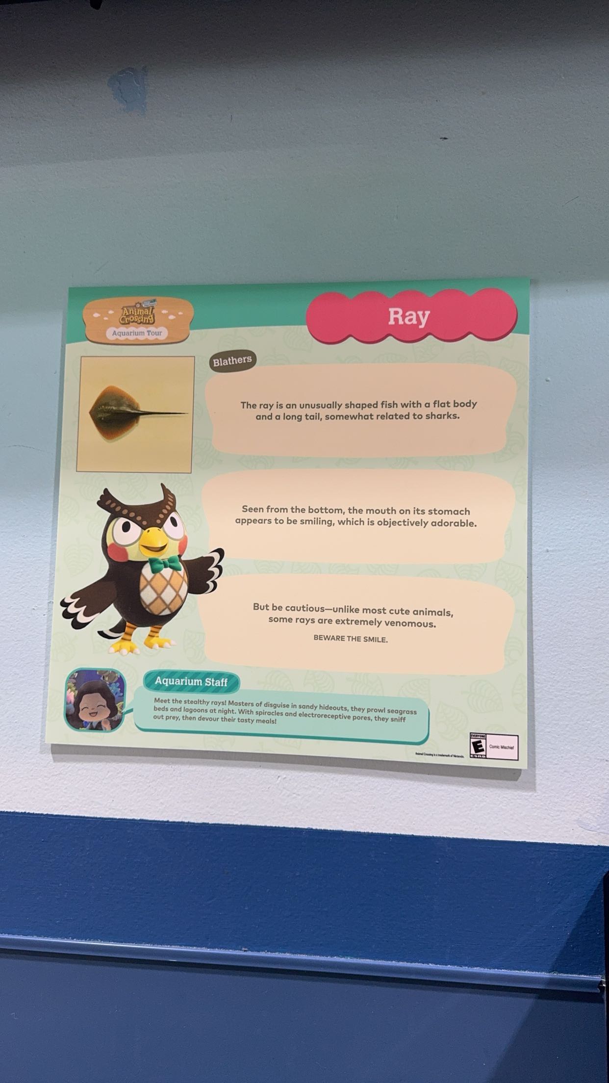 carmmieecat snapchat image archive image