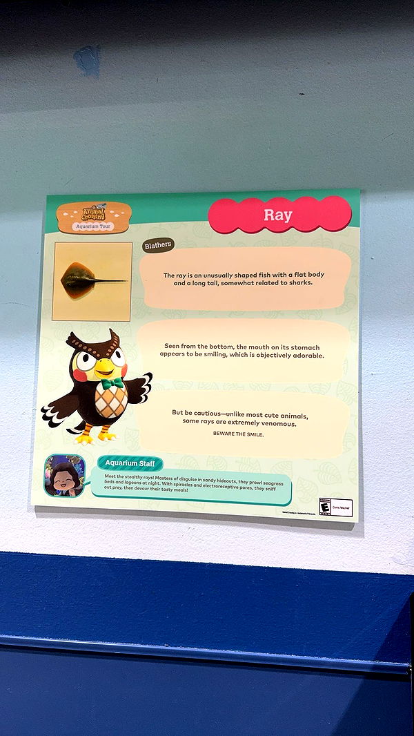 carmmieecat image ~ Altpins