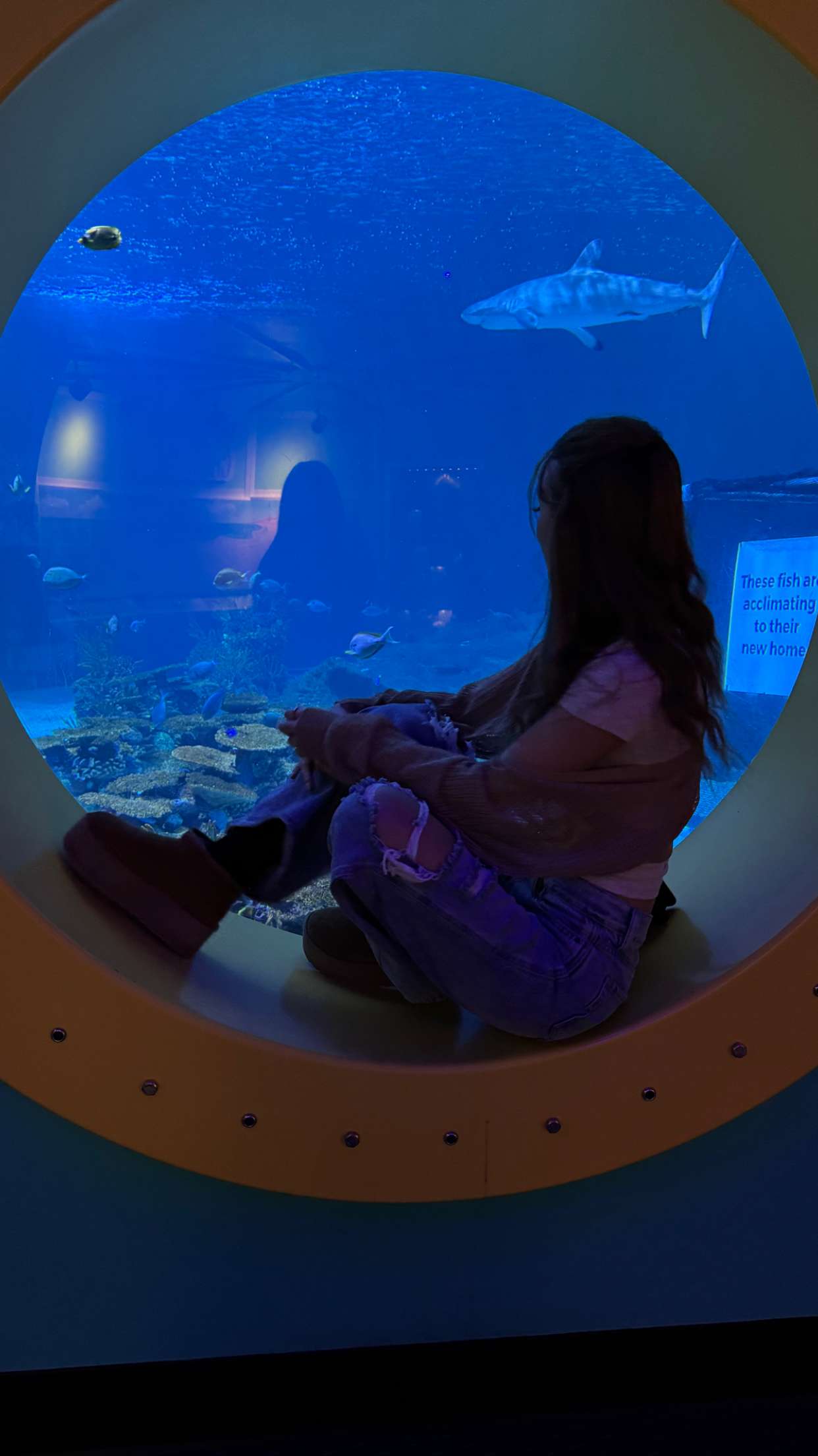 carmmieecat snapchat image archive image