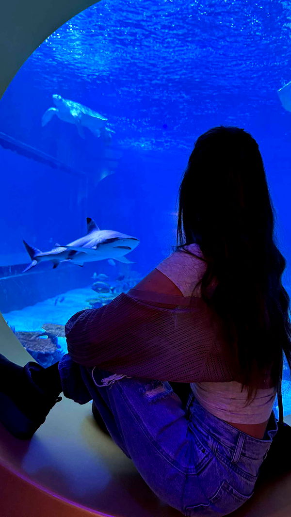 carmmieecat image ~ Altpins