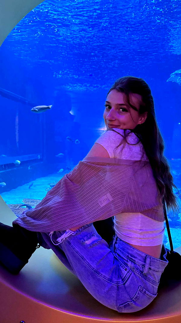 carmmieecat image ~ Altpins