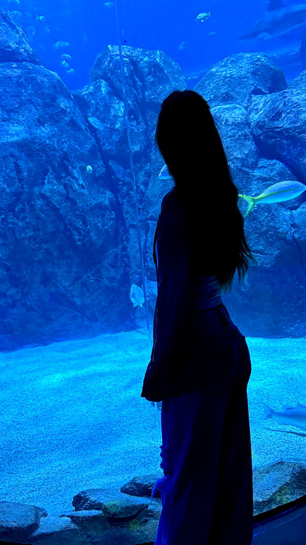 carmmieecat image ~ Altpins