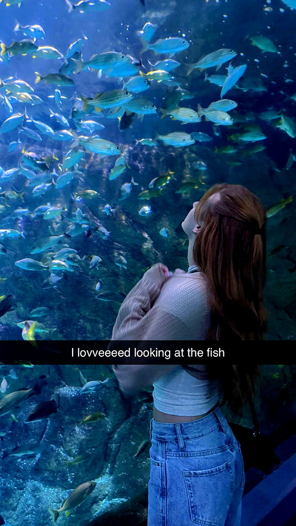 carmmieecat image ~ Altpins