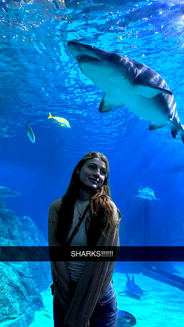 carmmieecat image ~ Altpins