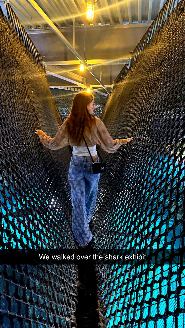 carmmieecat image ~ Altpins