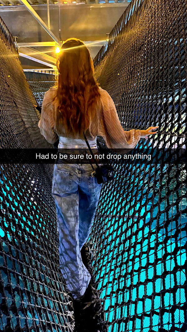 carmmieecat image ~ Altpins