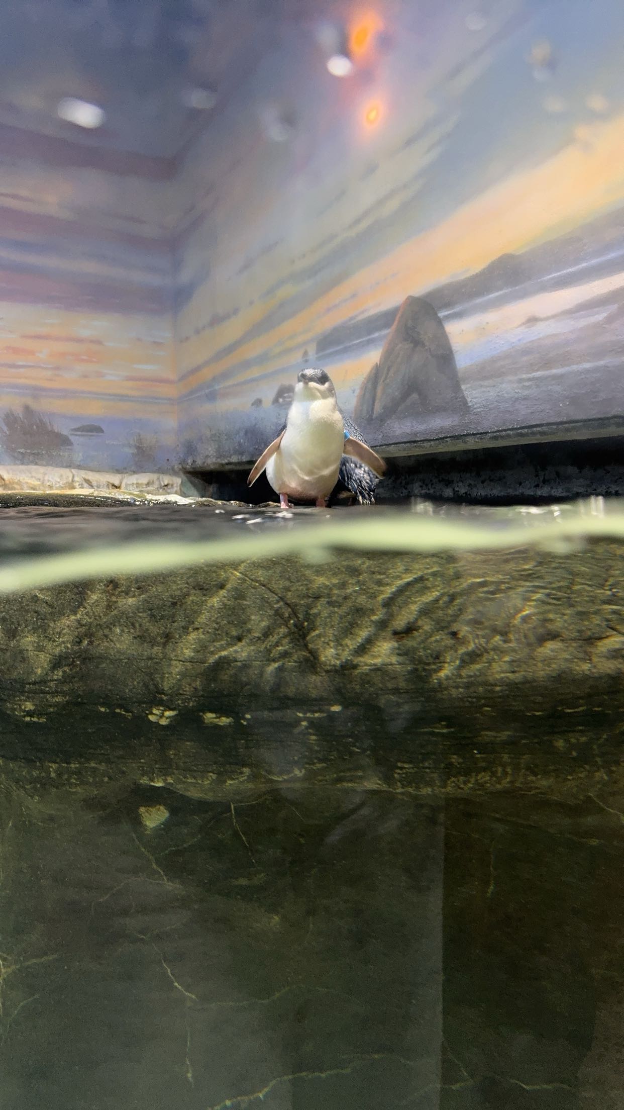 carmmieecat snapchat image archive image