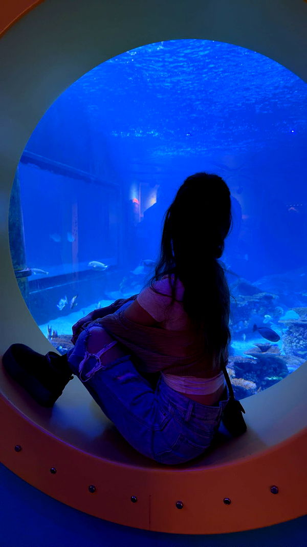 carmmieecat image ~ Altpins