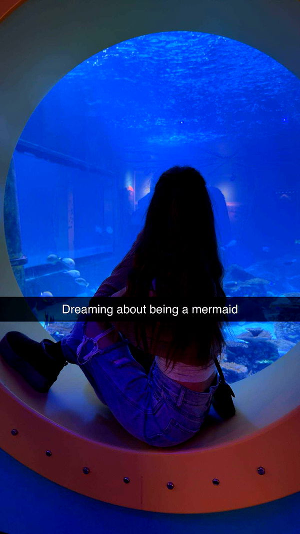 carmmieecat image ~ Altpins