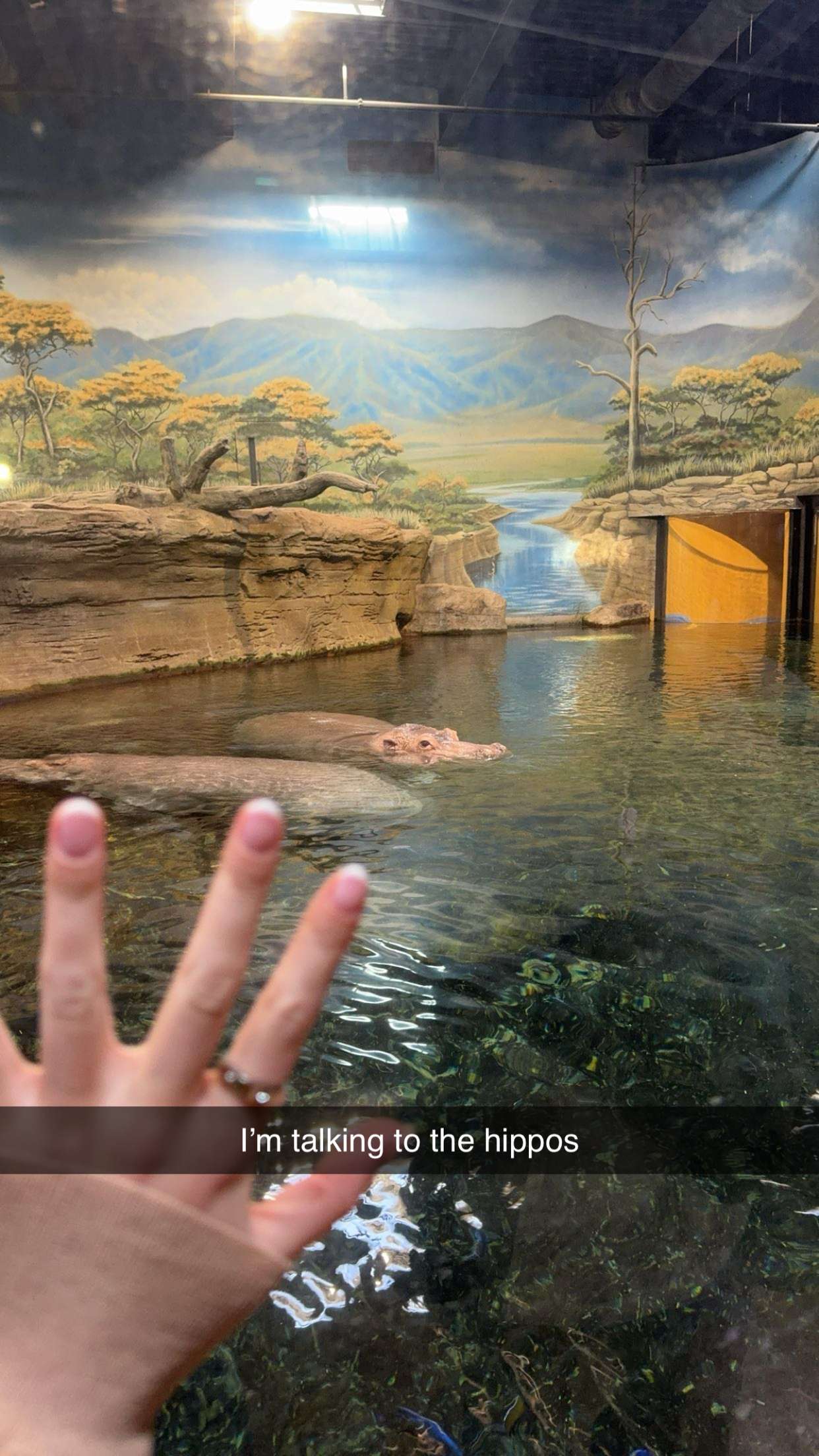 carmmieecat snapchat image archive image