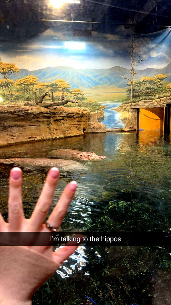 carmmieecat image ~ Altpins