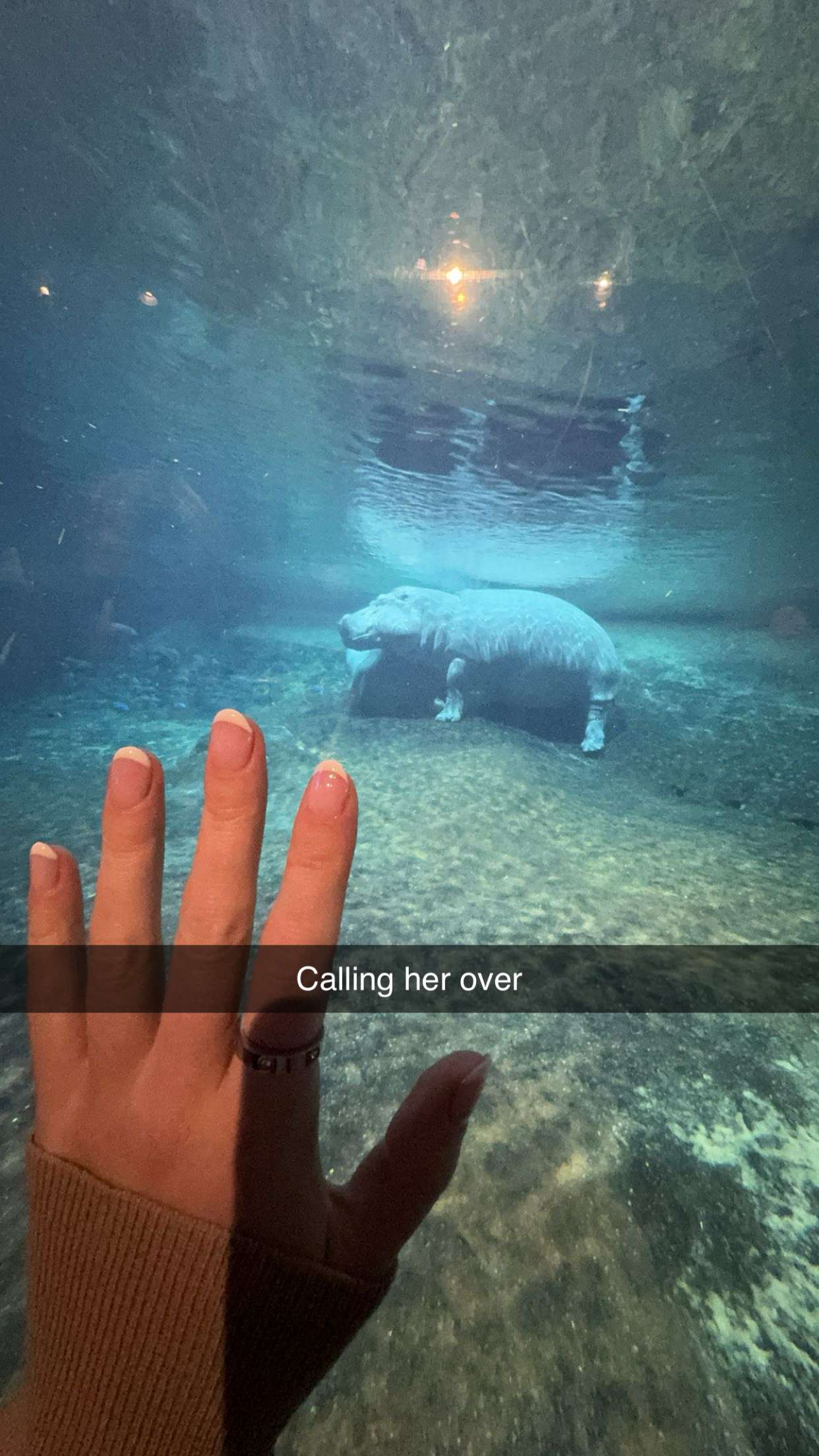 carmmieecat snapchat image archive image