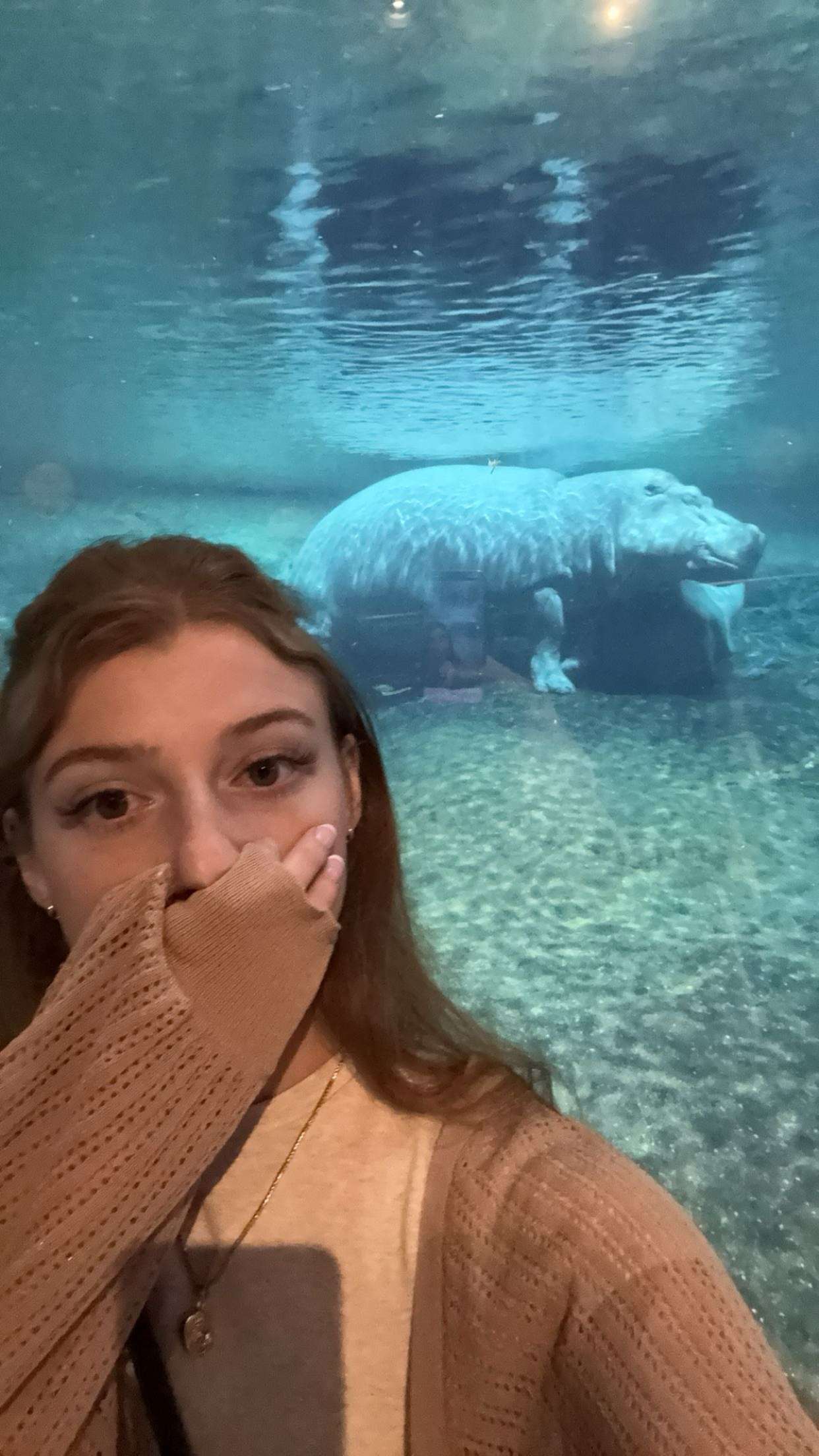 carmmieecat snapchat image archive image