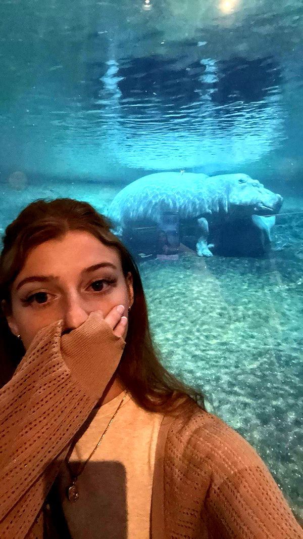 carmmieecat image ~ Altpins