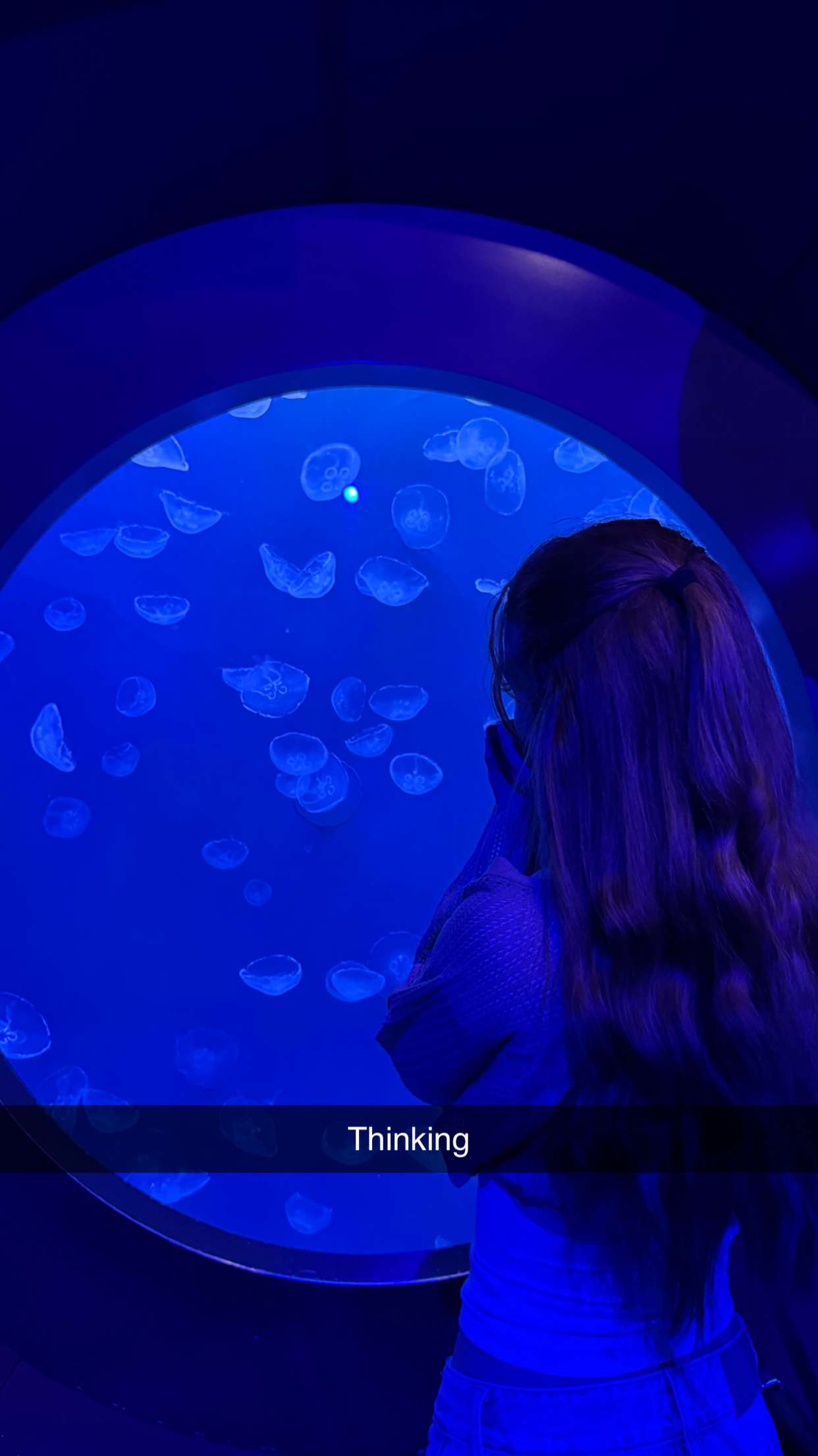 carmmieecat snapchat image archive image