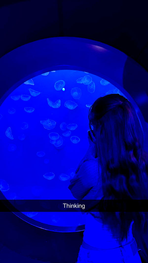 carmmieecat image ~ Altpins