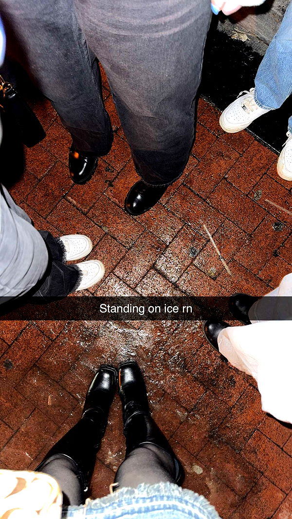 carmmieecat image ~ Altpins