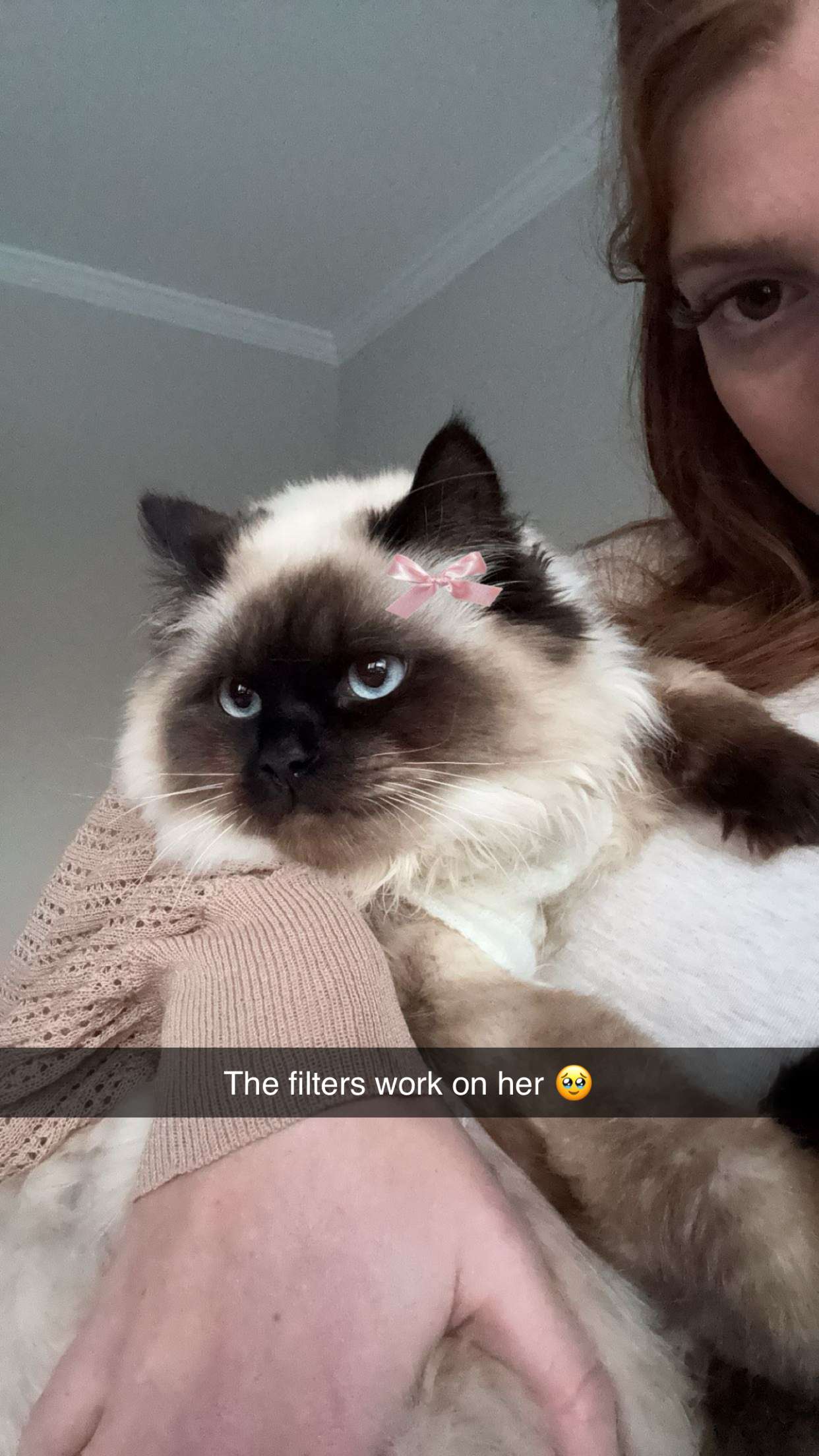 carmmieecat snapchat image archive image